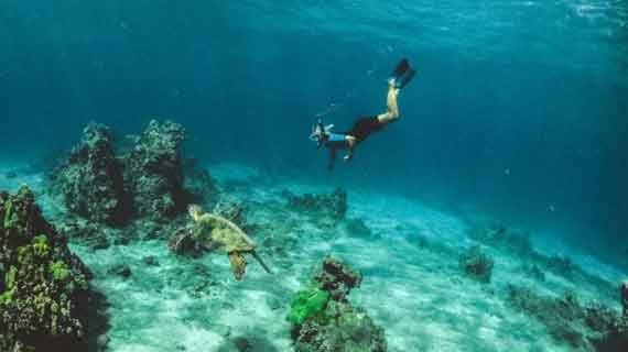snorkeling Pulau sempu