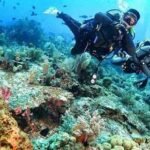 snorkeling di Komodo