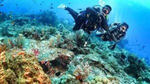 snorkeling di Komodo