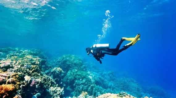 snorkeling di Mentawai