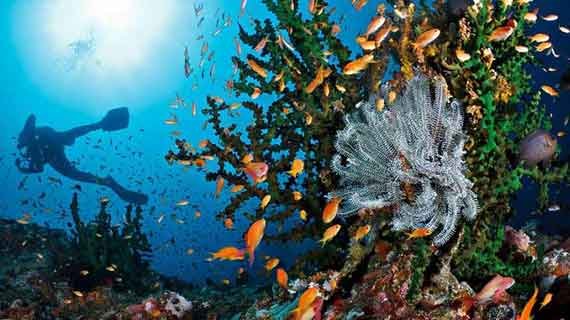 snorkeling di Pulau Weh