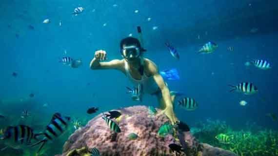 snorkeling di Sumba