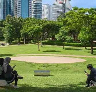 taman hutan kota GBK senayan