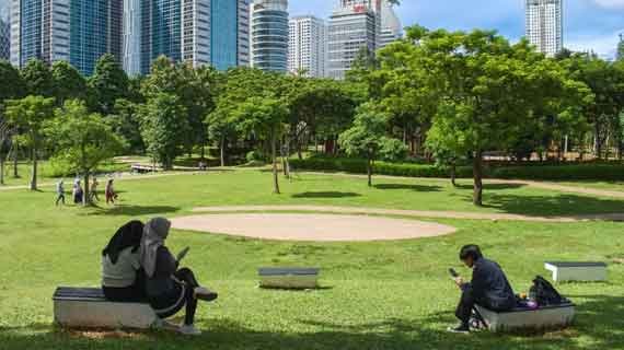 taman hutan kota GBK senayan