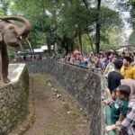 taman margasatwa ragunan
