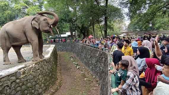 taman margasatwa ragunan