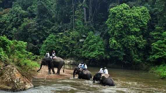taman nasional bukit barisan selatan