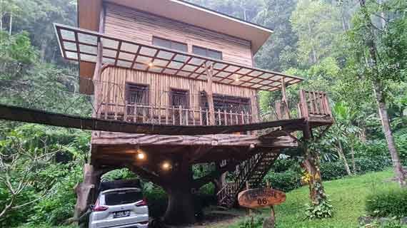 treehouse di Bogor