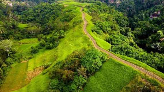 trekking Bukit Campuhan