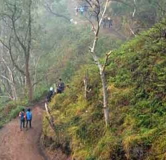 trekking Gunung Ijen