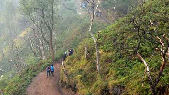trekking Gunung Ijen