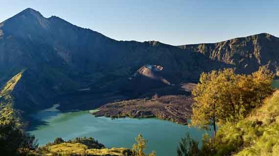 vegetasi unik Rinjani