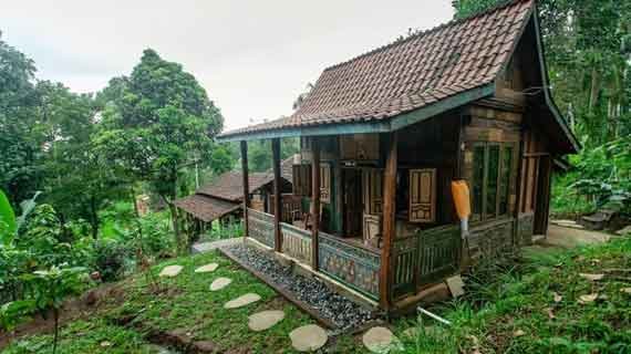 villa tepi sawah Bali