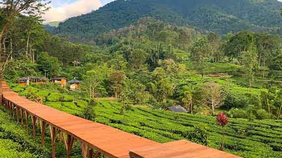 wisata Puncak Bogor