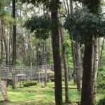 wisata Taman Wisata Alam Punti Kayu