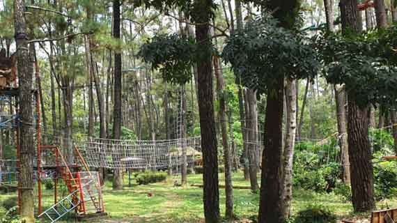 wisata Taman Wisata Alam Punti Kayu