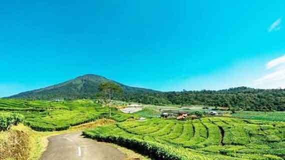 wisata alam Sumsel