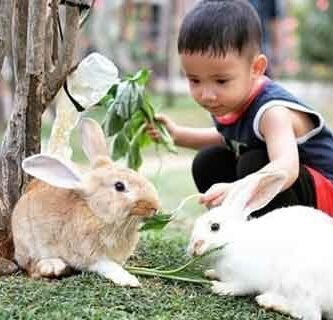 wisata alam untuk anak