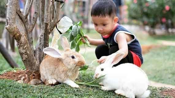 wisata alam untuk anak