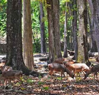 wisata cagar alam