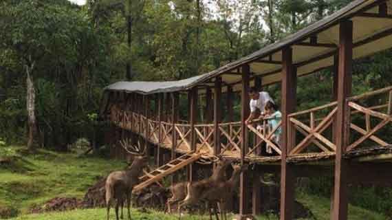 wisata terdekat dari Jakarta