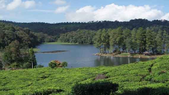 danau patenggang dan kebun teh Ciwidey