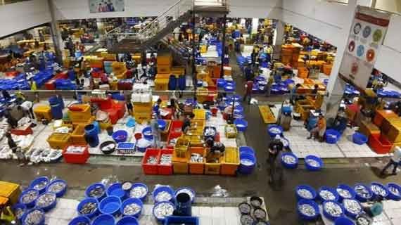 pasar ikan muara baru kuliner laut