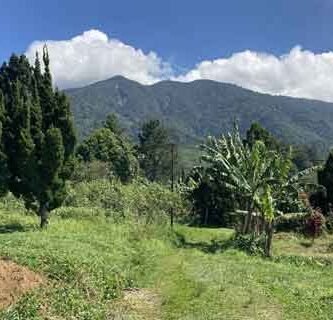 trekking taman nasional gunung halimun salak cianjur