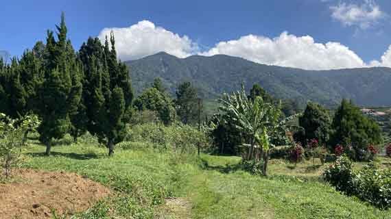 trekking taman nasional gunung halimun salak cianjur