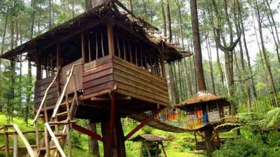 waduk jatiluhur rumah pohon